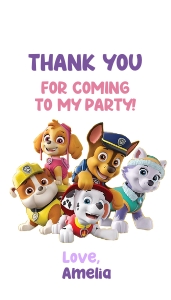 Paw Patrol Tag: 4703