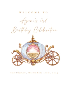 Cinderalla - Welcome Poster 16x20: Cinderalla Welcome Sign - A1010