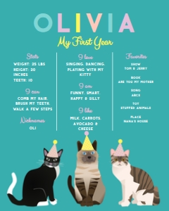 16x20 Birthday Stat Board Cat Party Teal: Stat Board Cat Party Teal