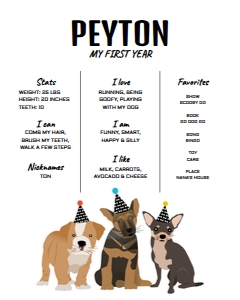 16x20 Dog Party Birthday Stat Board BW: Stat Board Dog Party BW