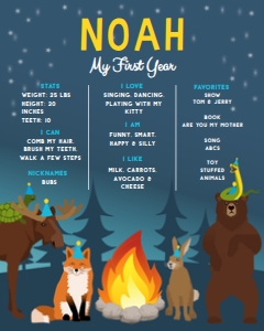 16x20 Birthday Stat Board Campfire Party Blue: Stat Board Campfire Party