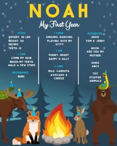 8x10 Birthday Stat Board Campfire Party Blue: Stat Board Campfire Party
