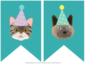 Bunting Banner Kitty Party Teal design preview