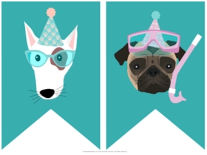 Bunting Banner Doggy Paddle Party Teal: Doggy Paddle Party Pack Teal