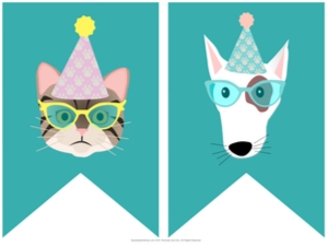 Bunting Banner Pool Pawty Teal: Pool Pawty Party Pack Teal