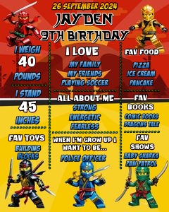 NinjagoDP01-Milestone: NinjagoDP01-Milestone