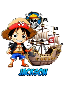 PirateDP02-Tshirt: PirateDP02-Bundle