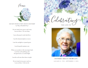 673393737 design preview