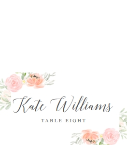PastelBlush_PlaceCards_3.5x2Folded: 655635635