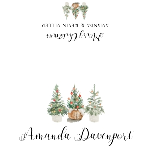 Christmas trees place card foldable: Christmas pine tree Place cards foldable