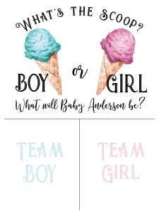 Ice cream gender reveal game poster 18x24 design preview