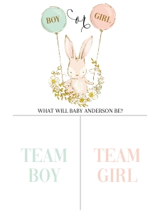 Bunny Gender reveal game poster 18x24 design preview
