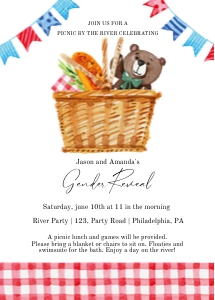 Picnic gender reveal: Picnic gender reveal