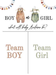 Gender Reveal boho neutral fall aa019 design preview