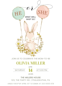 Bunny vintage gender reveal aa058 design preview