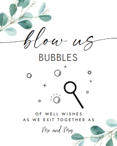 EU-BLOWUSBUBBLES design preview