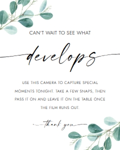 EU-DEVELOP1 design preview