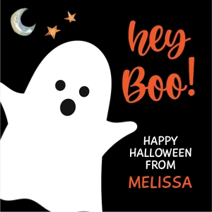 hey boo ghost 2.5sq design preview