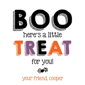 boo treat shadow 2.5sq design preview