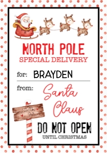 355 north pole special delivery cute design preview