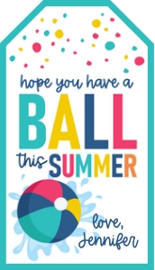 have a ball this summer beach ball muted 23 design preview