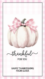 white pumpkin pink gingham thankful set 235 design preview