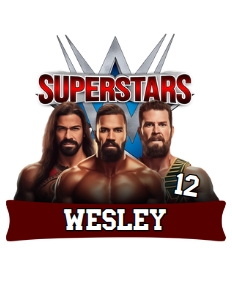 WrestleMania01-Bundle design preview
