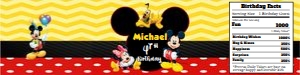 MickeyMinnie01-WaterBottle design preview
