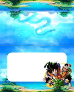 DragonBall01-FoodTent design preview