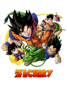 DragonBall01-Pillow: DragonBall01-Bundle