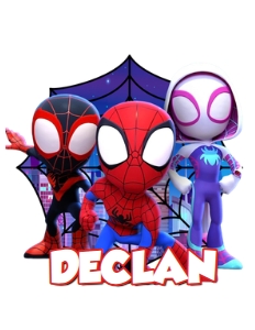 Spidey02-Pillow: Spidey02-Bundle