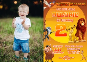 LionKing01-IHP: LionKing01-Bundle