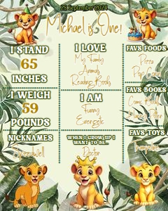 Lion01-Milestone: Lion Birthday Party Bundle Digital Download Printable Safari Jung