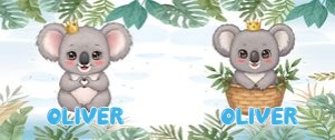 Koala01-Mug design preview