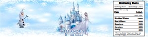 Frozen04-WaterBottle: Frozen04-WaterBottle