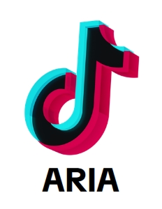 Tiktok01-Tshirt design preview