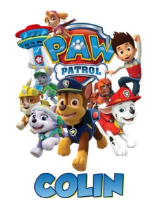 PawPatrol04-Tshirt: PawPatrol04-Tshirt