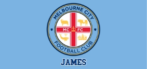 MelbourneFC01-CakeStrips design preview
