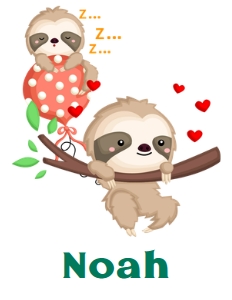 Sloth01-TShirt: Sloth01-TShirt