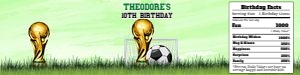 Soccer18-WaterBottle: Soccer Birthday Party Bundle Digital Download Printable Game Day