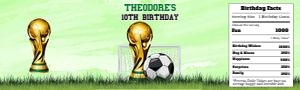 Soccer18-PringlesSmall design preview