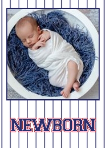 Baseball Monthly Photo Banner design preview