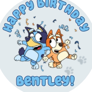 Babies and Kids Birthday Party Decor Cupcake Toppers Bluey Boy design preview