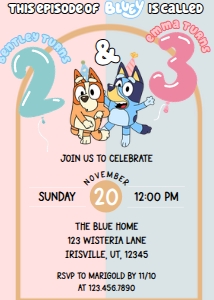 Babies and Kids Birthday Bluey Joint: Babies and Kids Birthday Bluey Joint