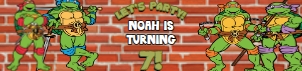 Babies and Kids Birthday Party Decor Water Bottle Labels TMNT design preview