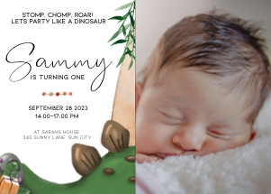 BK001-0105 7x5 Photo invitation landscape - Stegosaurus: BK001-07 Dinosaur Stegosaurus Birthday Bundle