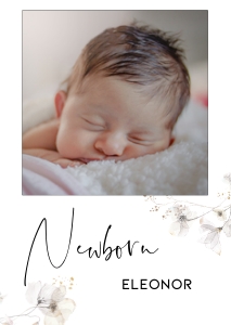 BK005-0108 DIN A6 Milestone banner - Wildflower whimsical: BK005 Birthday BUNDLE - Wildflower Whimsical