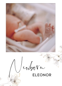 BK005-0108 5x7 Milestone banner - Wildflower whimsical: BK005 Birthday BUNDLE - Wildflower Whimsical