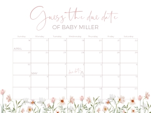 BB013-17 18x24" Guess the due date - Spring Bloom: BB013-17 Guess the due date - Spring Bloom