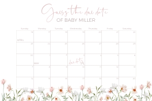 BB013-17 36x24" Guess the due date - Spring Bloom: BB013-17 Guess the due date - Spring Bloom